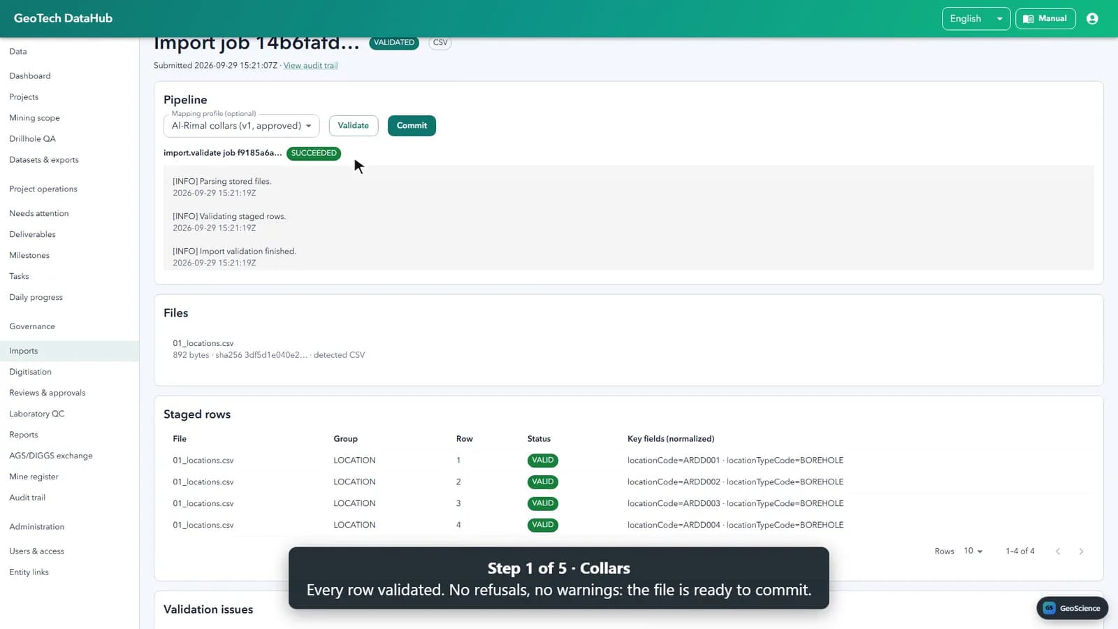 DataHub import job with validated staged rows ready to commit.